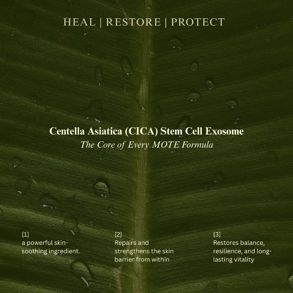 Sunblock Body Mist SPF 50 PA+++