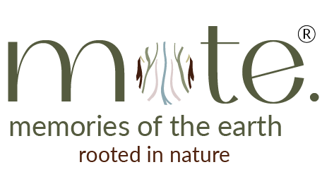 Memories of the earth - rooted in nature